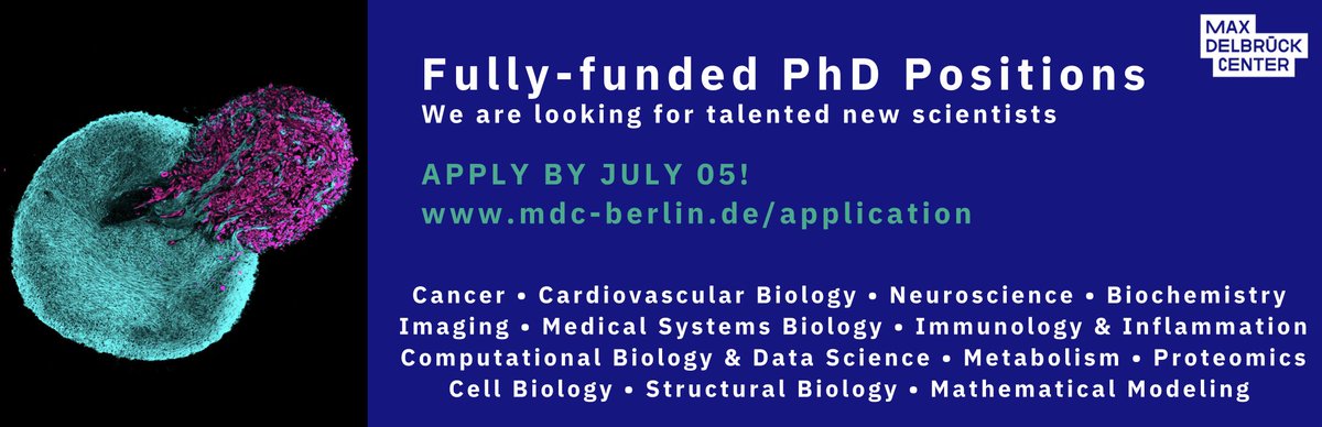 I am very happy to share that I will start my own lab at @BIMSB_MDC this fall. Looking forward to many exciting collaborations in Berlin and beyond🙂! We have open PhD and postdoc positions. (1/3)