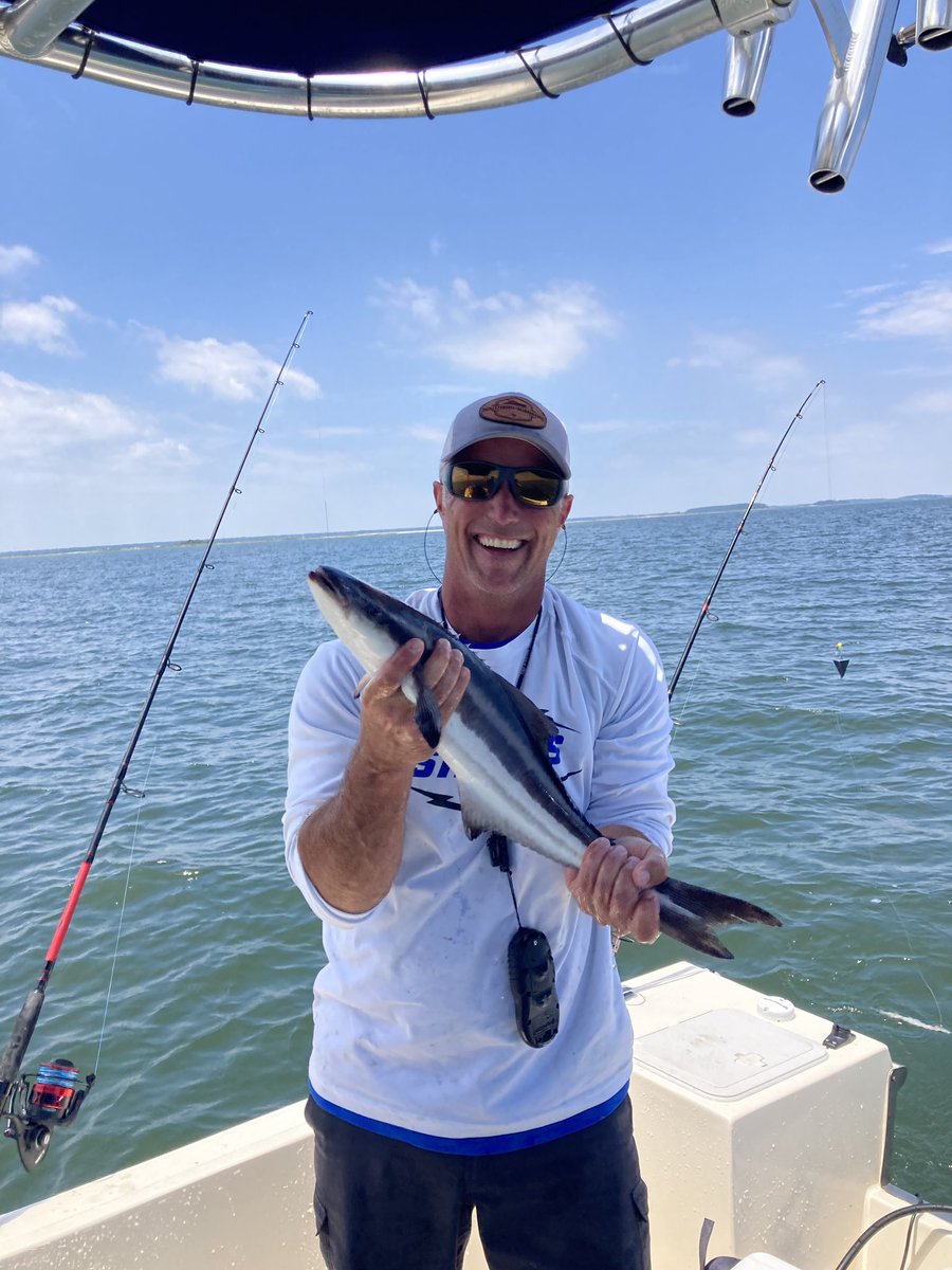 Rodney Summers tweet media