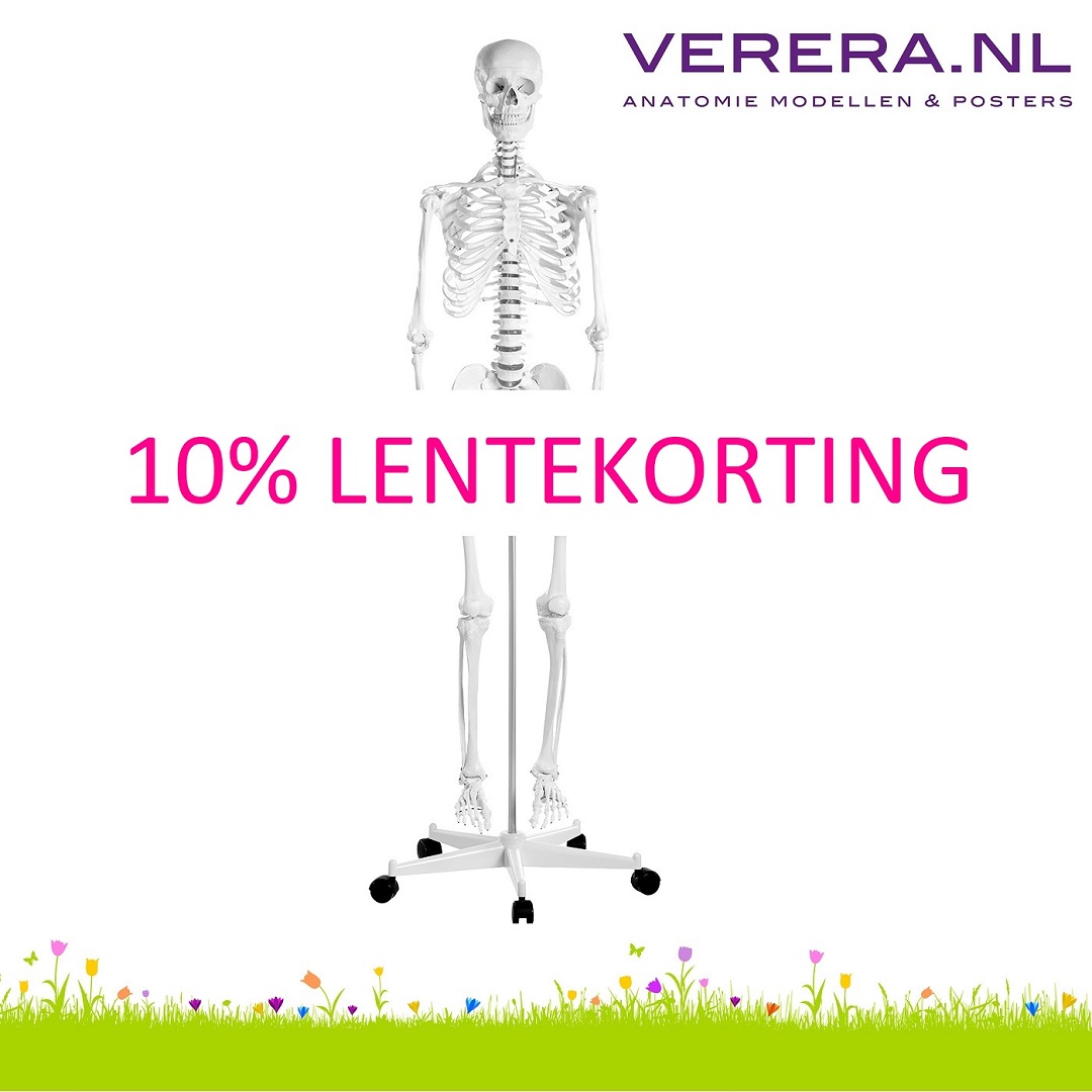 Lentekorting - nog 6 dagen - mailchi.mp/verera/vereran…