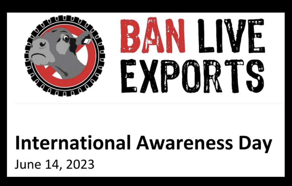 14 June 2023 is BAN LIVE EXPORTS INTERNATIONAL AWARENESS DAY.Please take action today to raise public awareness of this cruel trade and ask our government to #BanLiveExports You could tweet to the Prime Minister Anthony Albanese <a href="/AlboMP/">Anthony Albanese</a>