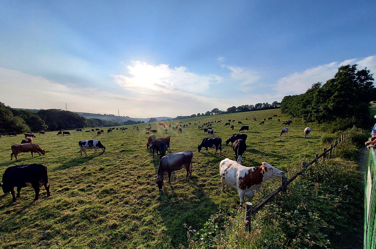 BHunter_FramF's tweet photo. Fantastic evening in Cornwall learning about the farmer's journey to achieving net zero milk. Great to catch up with Cornwall members.@FramFarmers https://t.co/VRz25kEcKG