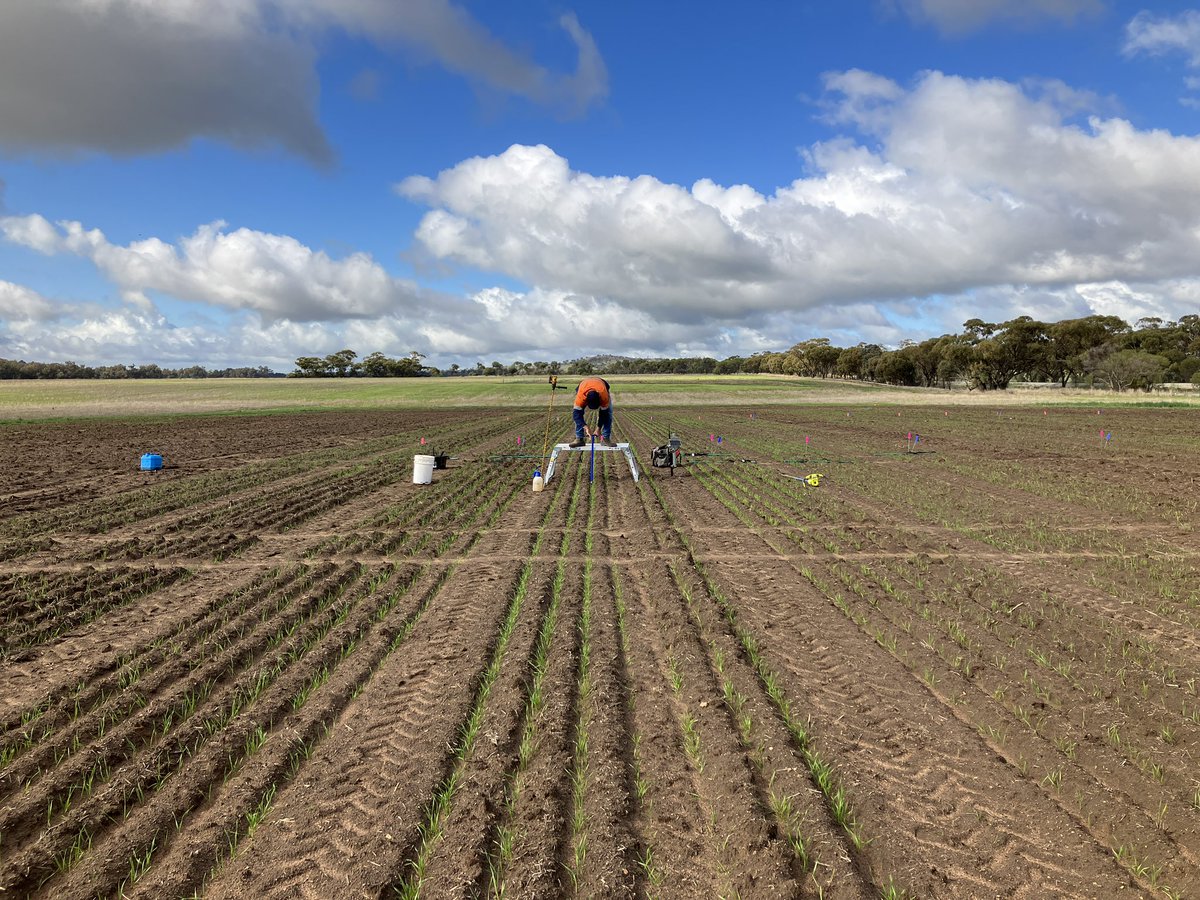 We’re putting in 24 x 1.2m soil probes for a research project today and the clay at 0.8m sure is making it hard!