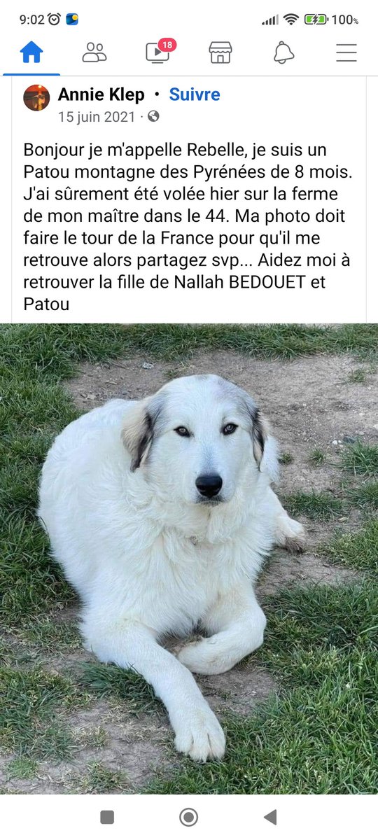 A partager dans vos TL les amis #TeamOM #ChienVole @courbet_julien @SPA_Officiel