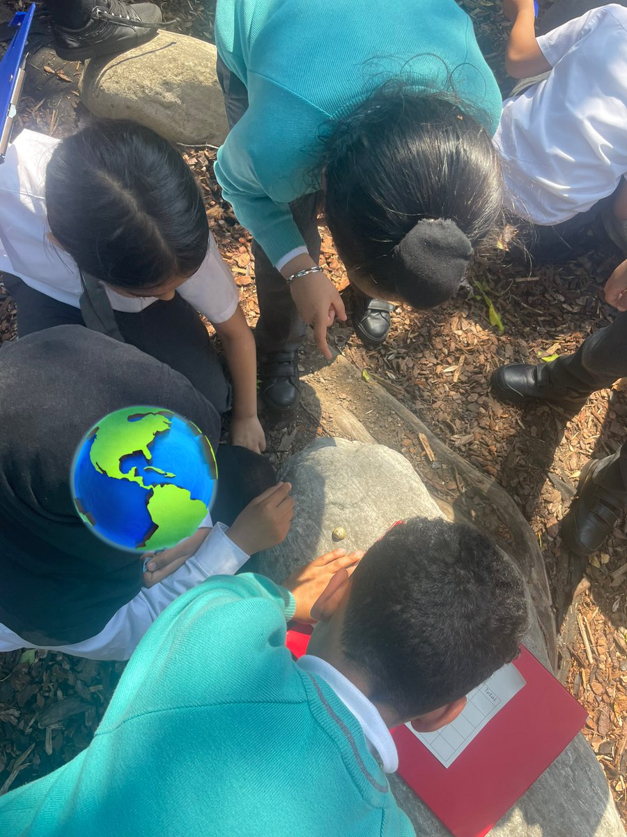 We had the perfect weather conditions for a bug hunt yesterday! In computing, children are collecting and organising data and photographs about bugs. Their science knowledge about microhabitats shone through. ☀️ 🌳🪲#TeamTindal #computing @arktindal