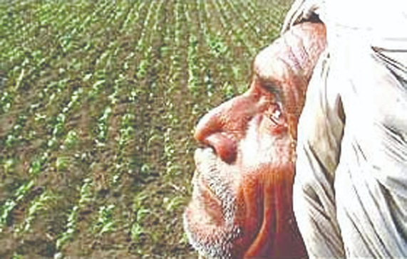 tbdnews's tweet image. *पाणीटंचाईसह शेती व्यवसायाचे गणित कोलमडणार?*
👇🏻👇🏻
tarunbharat.com/will-the-math-…
#TarunBharat #belgaumnewsupdate #waterproblems #norain