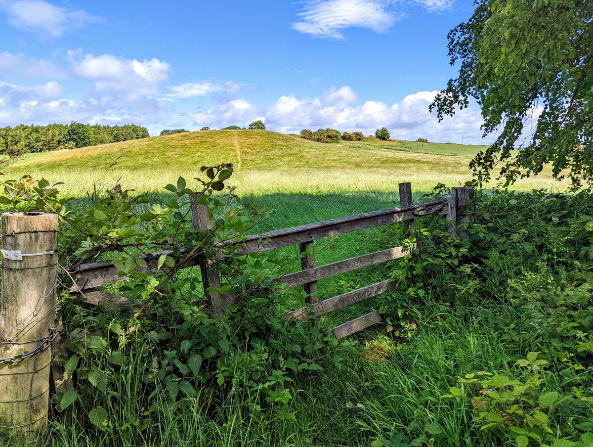 Wishing you a wild Wednesday 😁