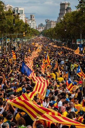 Bon dia companys i companyes de la lluita per la llibertat.
Llum als ulls i força al braç!
Visca Catalunya lliure i sobirana i sempre més Puta Espanya #Dui #lliridemerda #1Oct #lopoble #putaEspanya #republicacatalana #nioblitniperdó #plantemcara