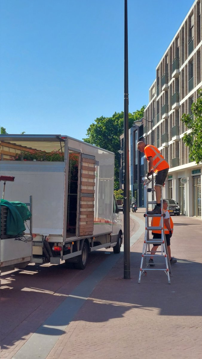 ArnhemsHart's tweet photo. Goedemorgen Arnhem.

Ze komen weer terug 🥳

-#arnhemcentrum https://t.co/DmC3qU7EAE