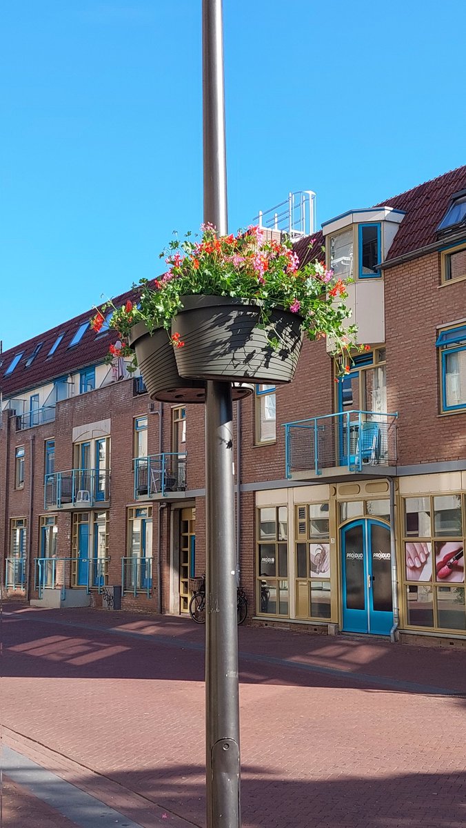 ArnhemsHart's tweet photo. Goedemorgen Arnhem.

Ze komen weer terug 🥳

-#arnhemcentrum https://t.co/DmC3qU7EAE