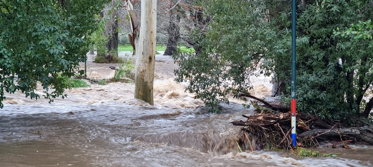 NoSurrenderRSA's tweet image. Noah, we need your Ark!
The Lourens River in Somerset West in thunderous flood. With more rain comin'.