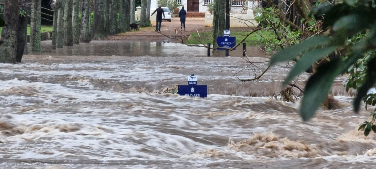 NoSurrenderRSA's tweet image. Noah, we need your Ark!
The Lourens River in Somerset West in thunderous flood. With more rain comin'.
