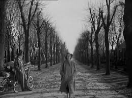 Chris Salt tweet media