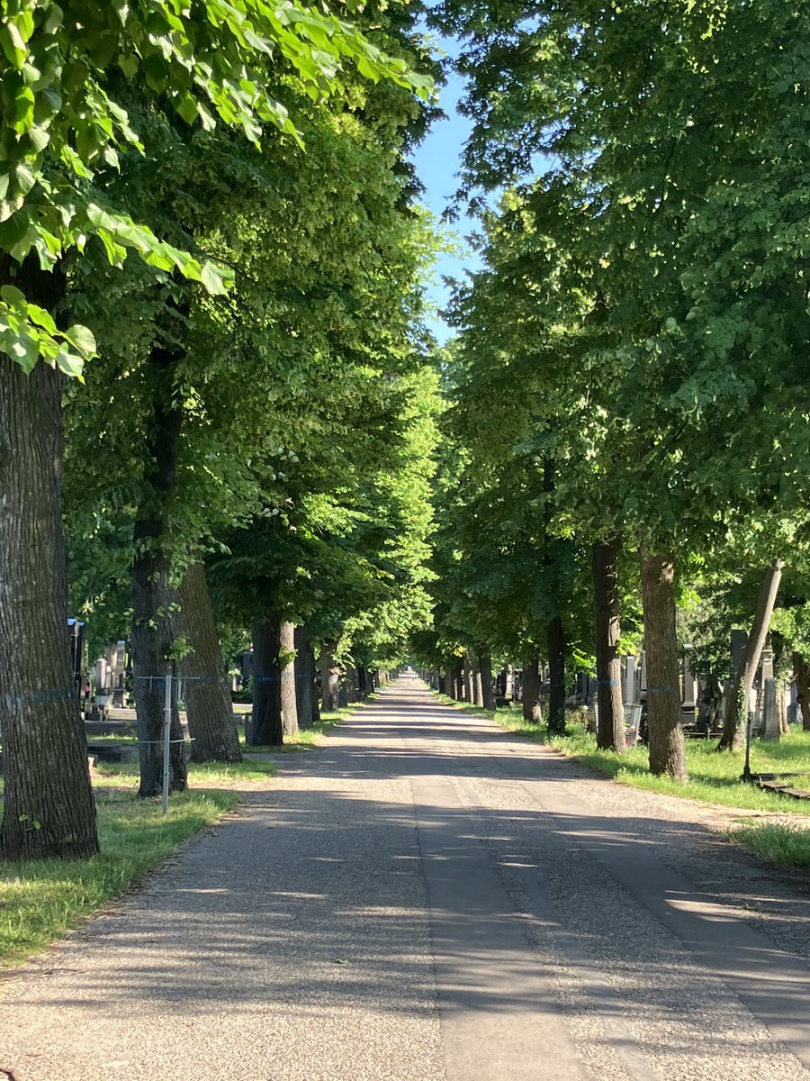 Chris Salt tweet media