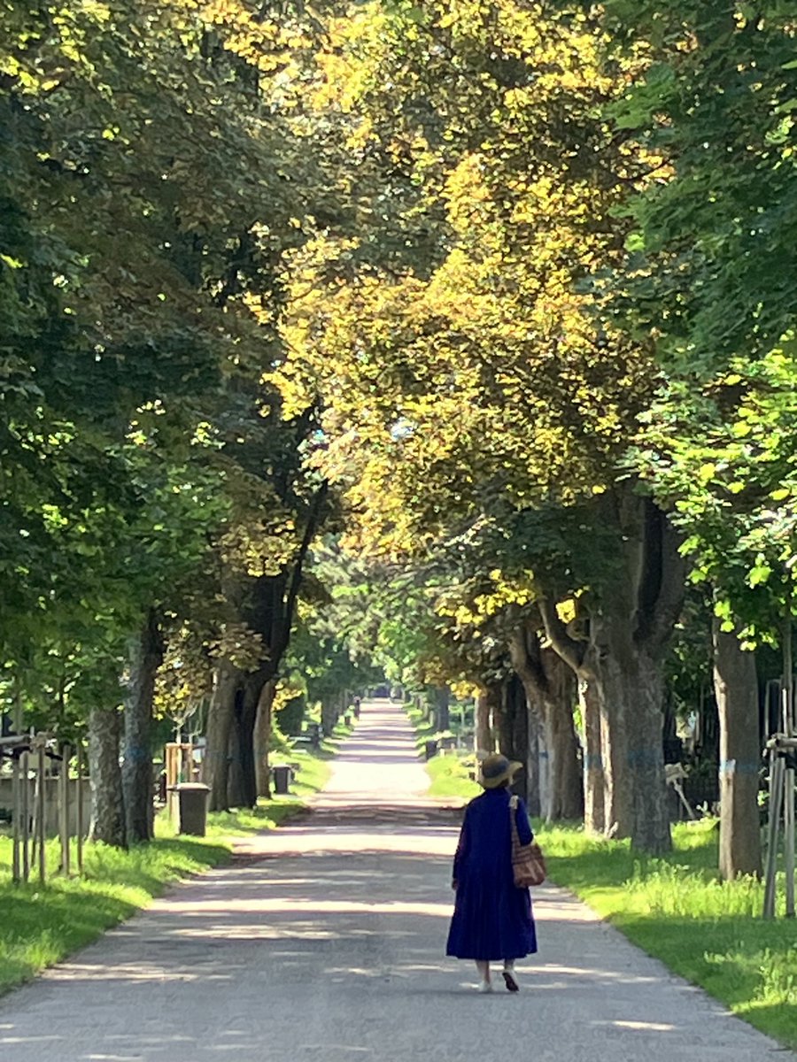 Chris Salt tweet media