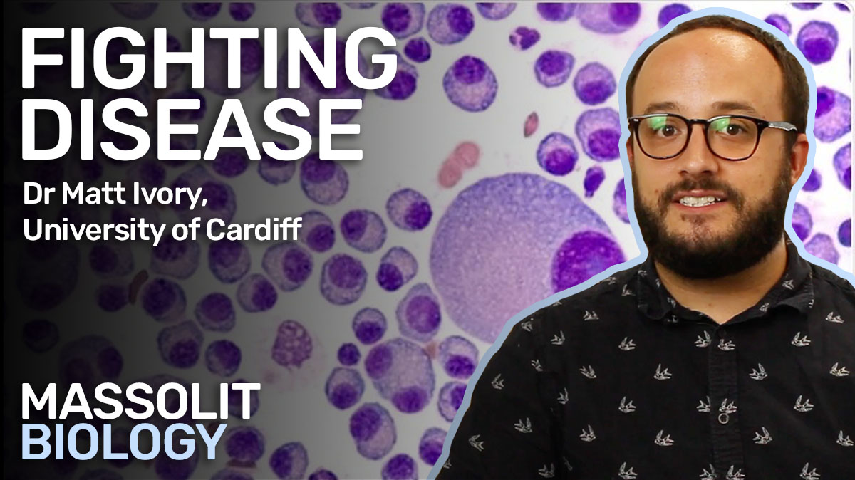 massolit's tweet image. Brand new for #Biology Dr Matt Ivory discusses how the human body fights disease.

This course has been designed specifically for GCSE #EdexcelBiology. Check it out: bit.ly/43D7oGh