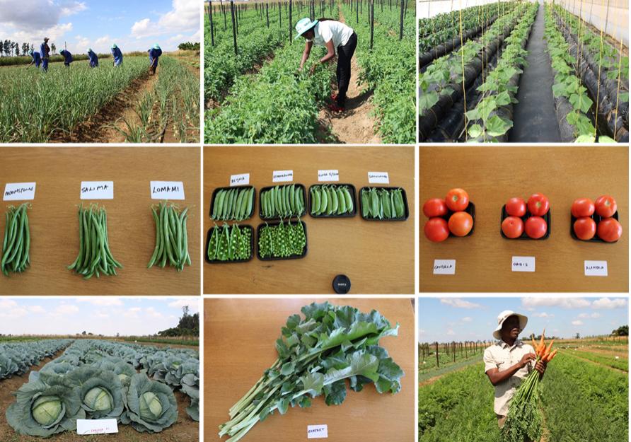 Masimba Kanyepi tweet media