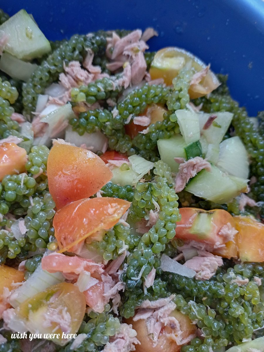 kmataiyaga23's tweet image. Nama O'Clock 
#kusima