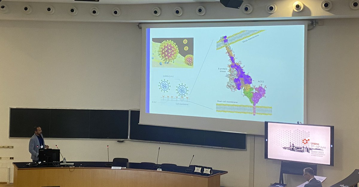 Next up is Massimiliano Peana with “Zn(II) and Cu(II) interaction with peptide models of the recognition interface of ACE2 receptor for SARS-CoV-2 spike protein”.