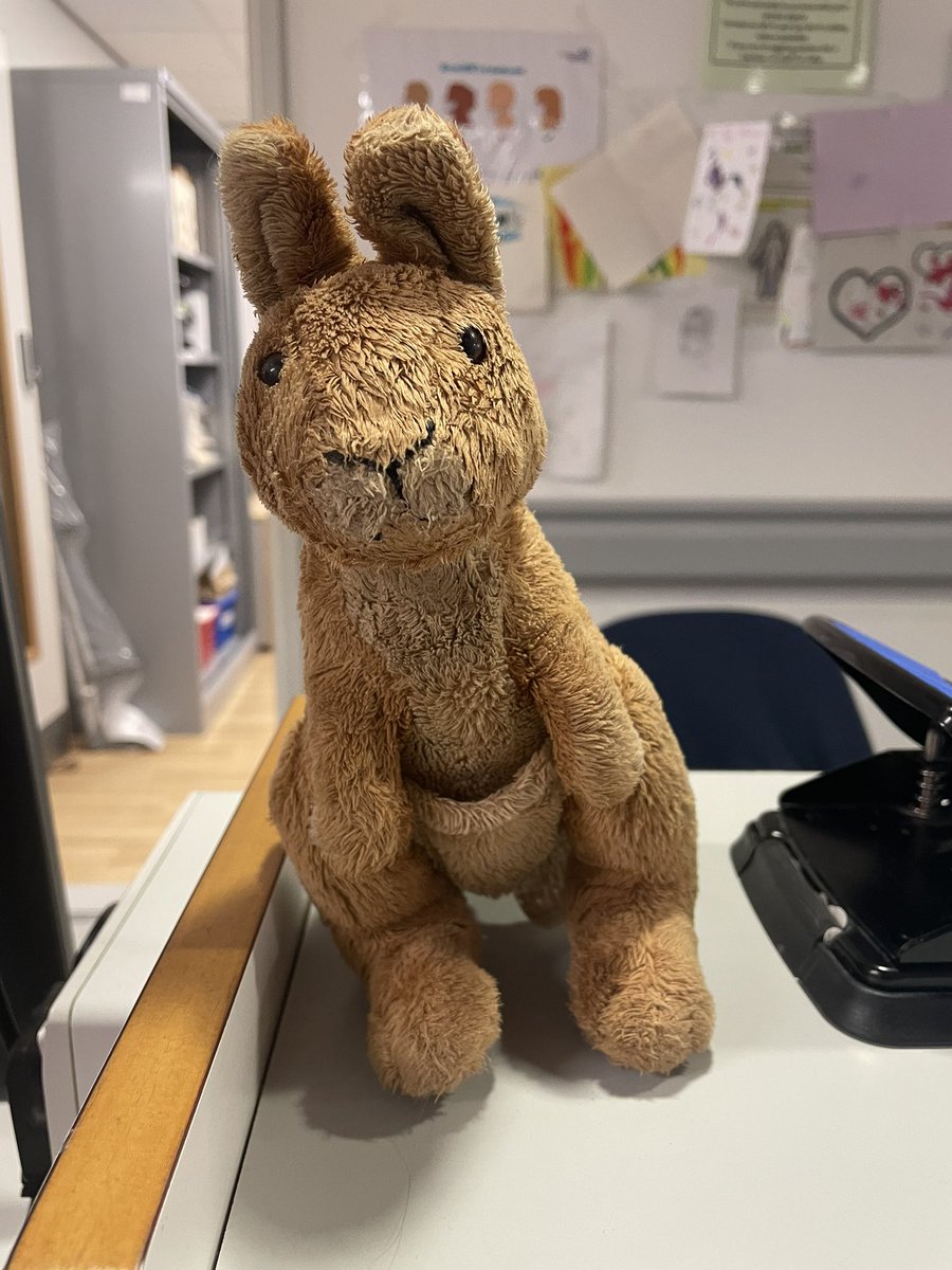 This lovely Kangaroo needs to bounce back to its owner. Found in the RLI car park, having a little rest and roolaxation on the children’s ward until the owner collects them. @UHMBT @32Children