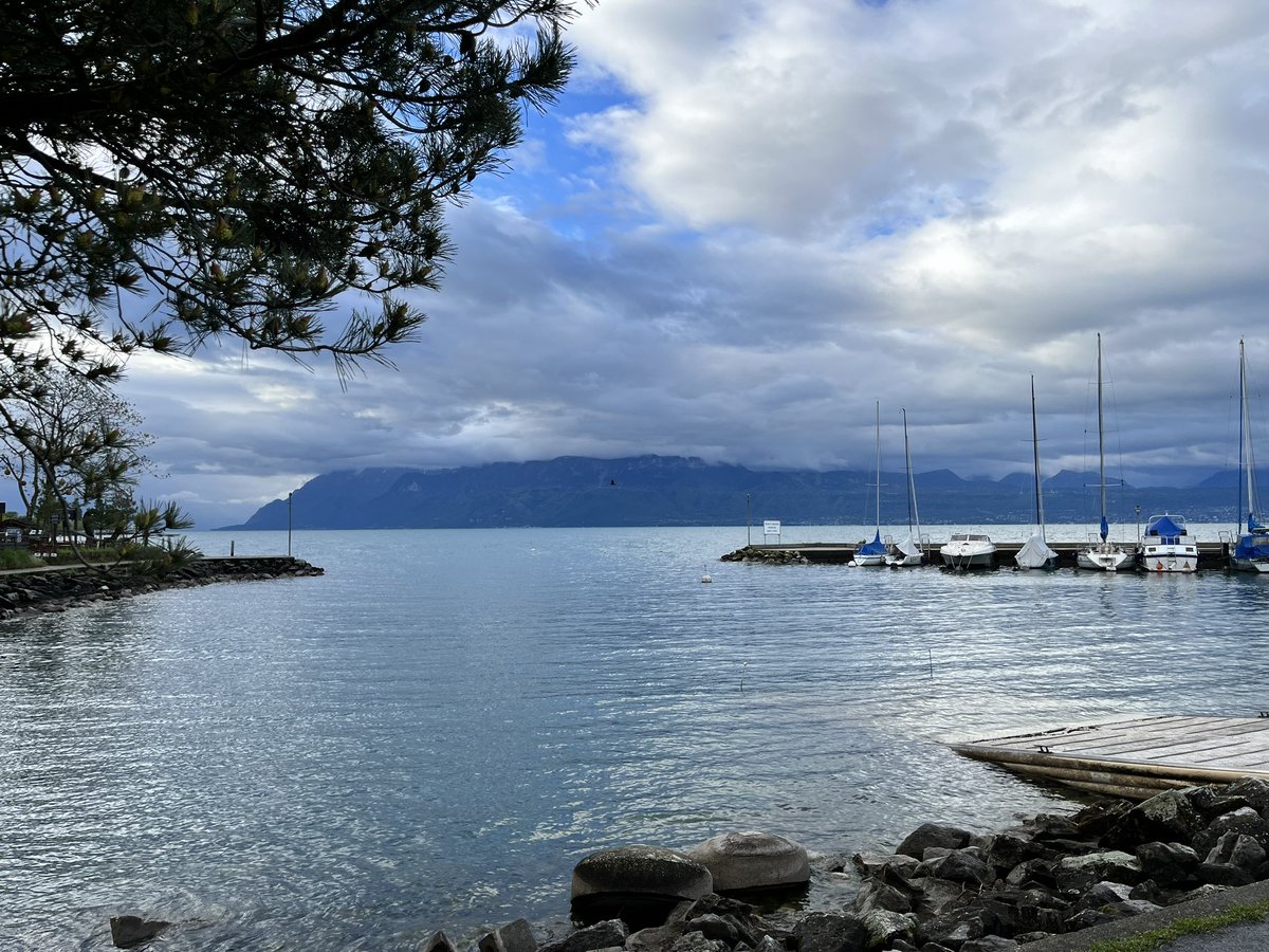 NeurosciencePhD_EPFL (@edne_epfl) on Twitter photo Looking forward to another welcoming day for potential EDNE #PhD students today! Good luck with your interviews!! 🎓💻🗣️ <a href="/Brainmind_EPFL/">EPFL Brain Mind Institute</a> <a href="/epflSV/">EPFL Life Sciences</a> Looking forward to another welcoming day for potential EDNE #PhD students today! Good luck with your interviews!! 🎓💻🗣️ <a href="/Brainmind_EPFL/">EPFL Brain Mind Institute</a> <a href="/epflSV/">EPFL Life Sciences</a>