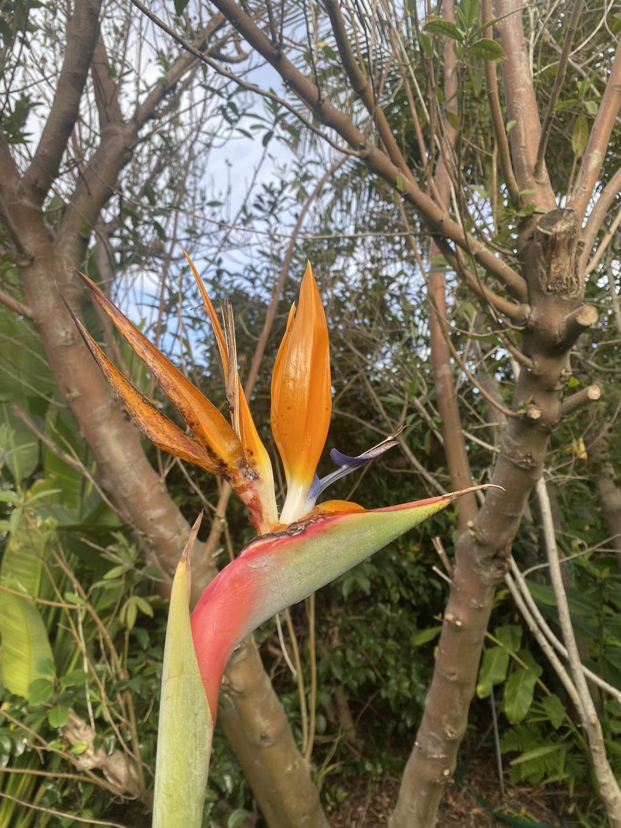 prodbyrision's tweet photo. Mi casa en todos lados 🙏🏼✨ #NaturePhotograhpy #spiritualgrowth #SpiritualJourney https://t.co/1n5LPYF8EM
