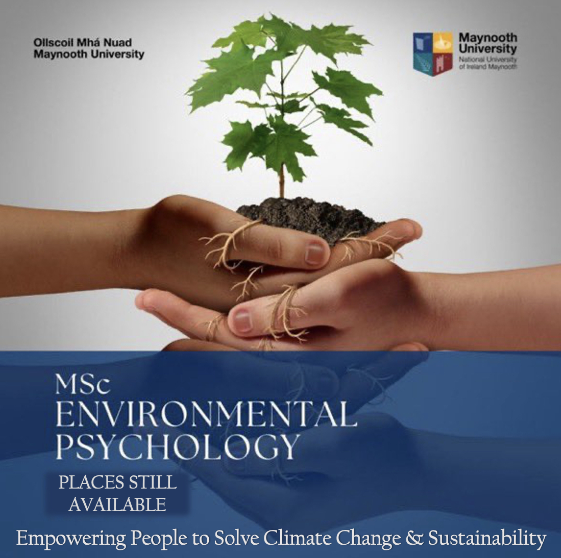 Tadhg E. MacIntyre tweet media