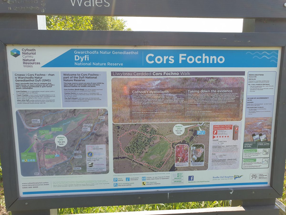 Team #HedgeBog is in Wales for our pan European field campaign.
We kick-off at Cors Fochno, a conserved raised #bog, just off the coast by Borth, managed by National Resources Wales.

W @yvettelgenkamp & Stefan Weideveld @RuAeeb
#PeatTwitter #peatland