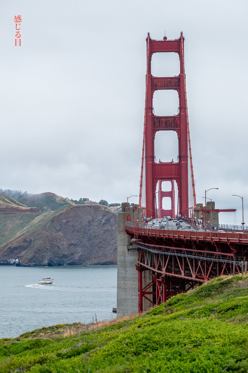 sensualeye's tweet image. Stopped by the Golden Gate Bridge this morning and snapped some photos to pass the time. #SanFrancisco #GoldenGateBridge  今朝、ゴールデンゲートブリッジに立ち寄り、時間をつぶすために写真を撮りました。#fujifilm #xh1 #flowers #landscapephotography #blueandgoldfleet