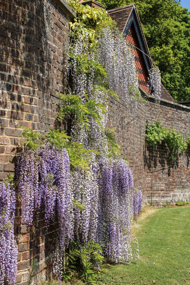 Salomons_Venue's tweet image. Escape to summer paradise with our enchanting getaway at Salomons Estate. ☕🍽️

Savour #sun-kissed evenings☀️, melt into luxurious #accommodations, and wake up to a scrumptious #breakfast.🥑🍳

salomons-estate.com/accommodation/