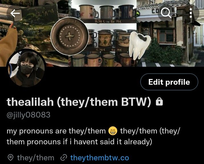seungbading's tweet photo. mind you, my pronouns are they/them. i've been REALLY persistent about my pronouns since the start of my account. THIS WAS MY PROFILE THE DAY SHE SAID THAT. you'd think after 6 follow requests, she'd see the pronouns scattered all over my twitter. https://t.co/5AVvSNRCzG