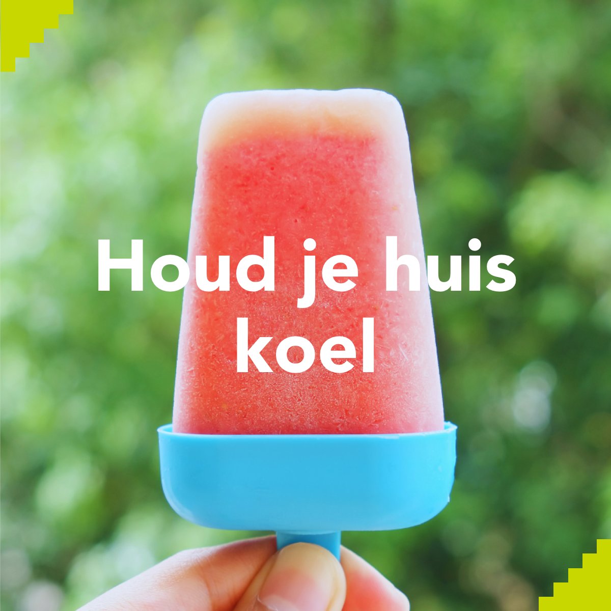 Wat is het heerlijk buiten! 🌞 De warmte is fijn. Maar als het lang aanhoudt, wordt het in huis soms te warm. Sluit bijvoorbeeld je gordijnen overdag en doe ze pas open als het buiten koeler is dan binnen. Zo houd je de warmte buiten! Heb jij tips om het binnen koel te houden?