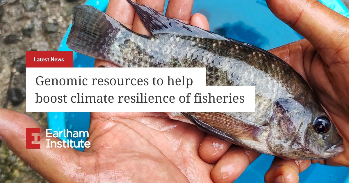 Latest News: Genomic resources to help boost climate resilience of fisheries