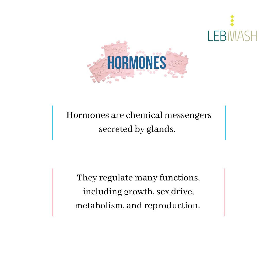 LebMASH_'s tweet photo. 💡 Dive into the fascinating world of hormones and discover the hidden orchestrators of our bodies! From regulating moods to shaping our growth, hormones are the unsung heroes behind the scenes. 🌺✨#HealthandWellness #BodyAndMind #ScienceOfHormones https://t.co/ermq0MeWCw