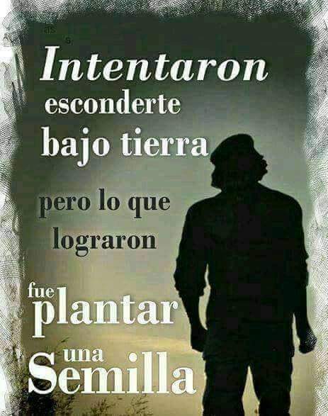 Sus condiciones ejemplares como ser humano y revolucionario,perduran en el tiempo y hoy más que nunca se manifiestan en las nuevas generaciones de Cubanos.#CheVive.#Artemisa.#Cuba.