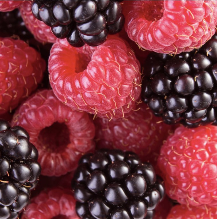 Foodari's tweet image. It’s been a glorious week of sunny growing weather here in Kent which has really brought on our lovely berries. Raspberries and blackberries will be picked ready for the weekend!

The perfect addition to any summer pudding, add them to your menus whilst the season lasts 💚