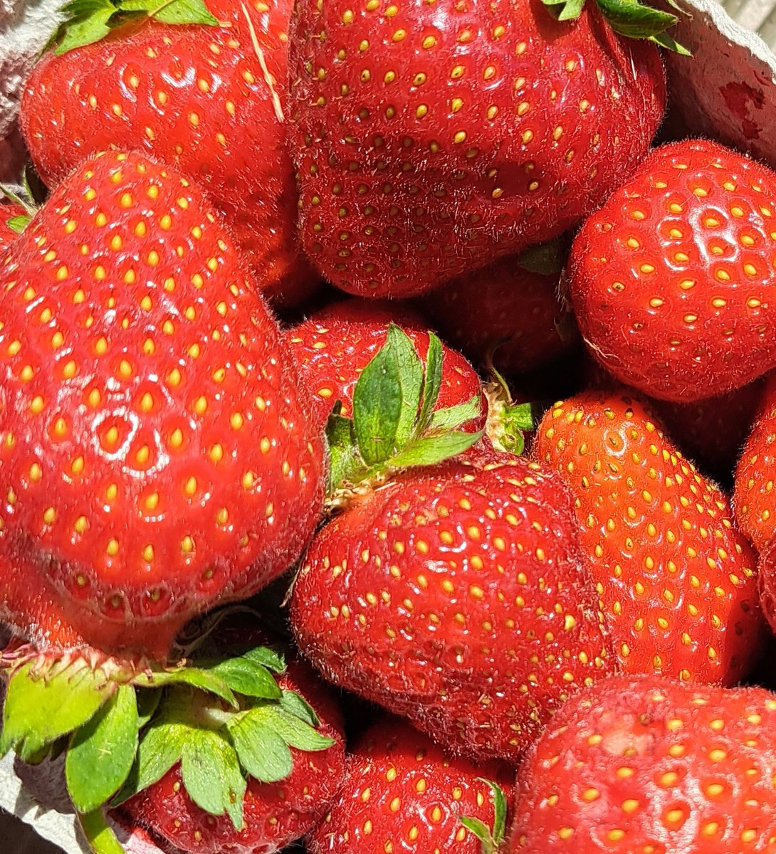 Farmersmarket Strawberries