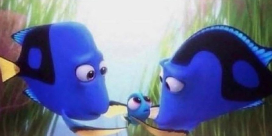 BeanPrincipessa's tweet photo. Noi ridiamo e scherziamo, ma la Pixar è riuscita a mettere una stempiatura su un pesce https://t.co/Up0qVXYC0F