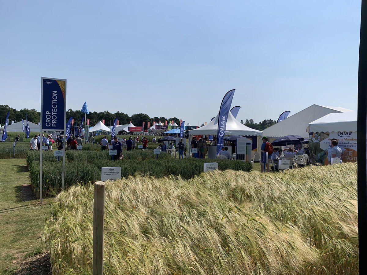 jamesyfella's tweet photo. Great @CerealsEvent event yesterday, great to catch up with lots of old faces…and the @TheWurzels to serenade us over lunch! Thanks @Wdale_WagyuLtd for the complementary burger! https://t.co/tJob4YP8vI