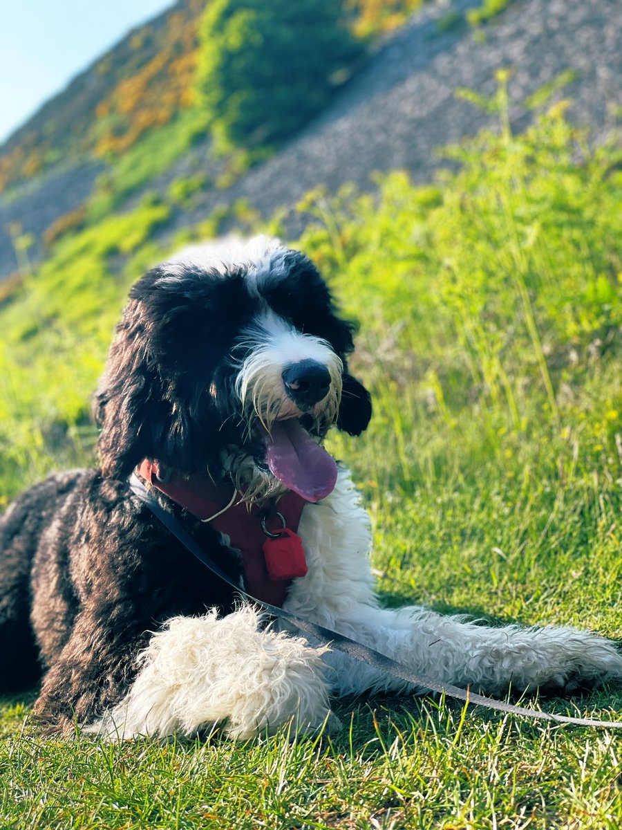 Scott Bateman MBE tweet media