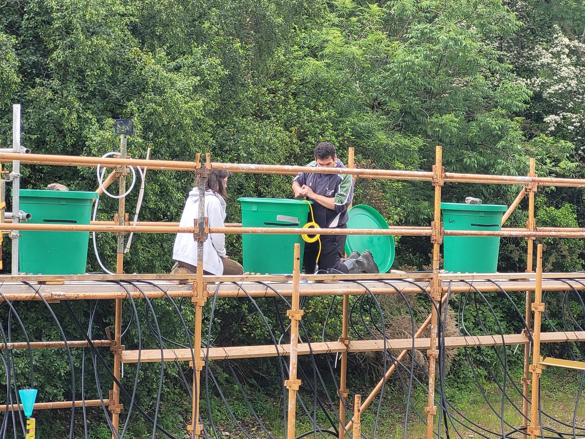 Marcin Penk tweet media