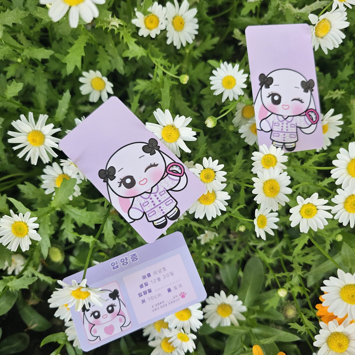 🐇삼깽이는 수정중🧵🧶
입금폼  마감일 17일(토)⏳️
삼깽이를 얻을 수 있는 마지막 기회‼️
놓치지 마세요
#이세영 #leeseyoung