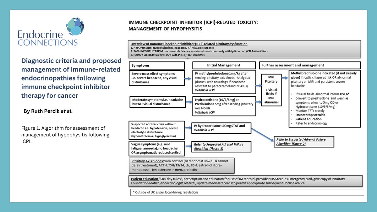 Endocrine Connections tweet media