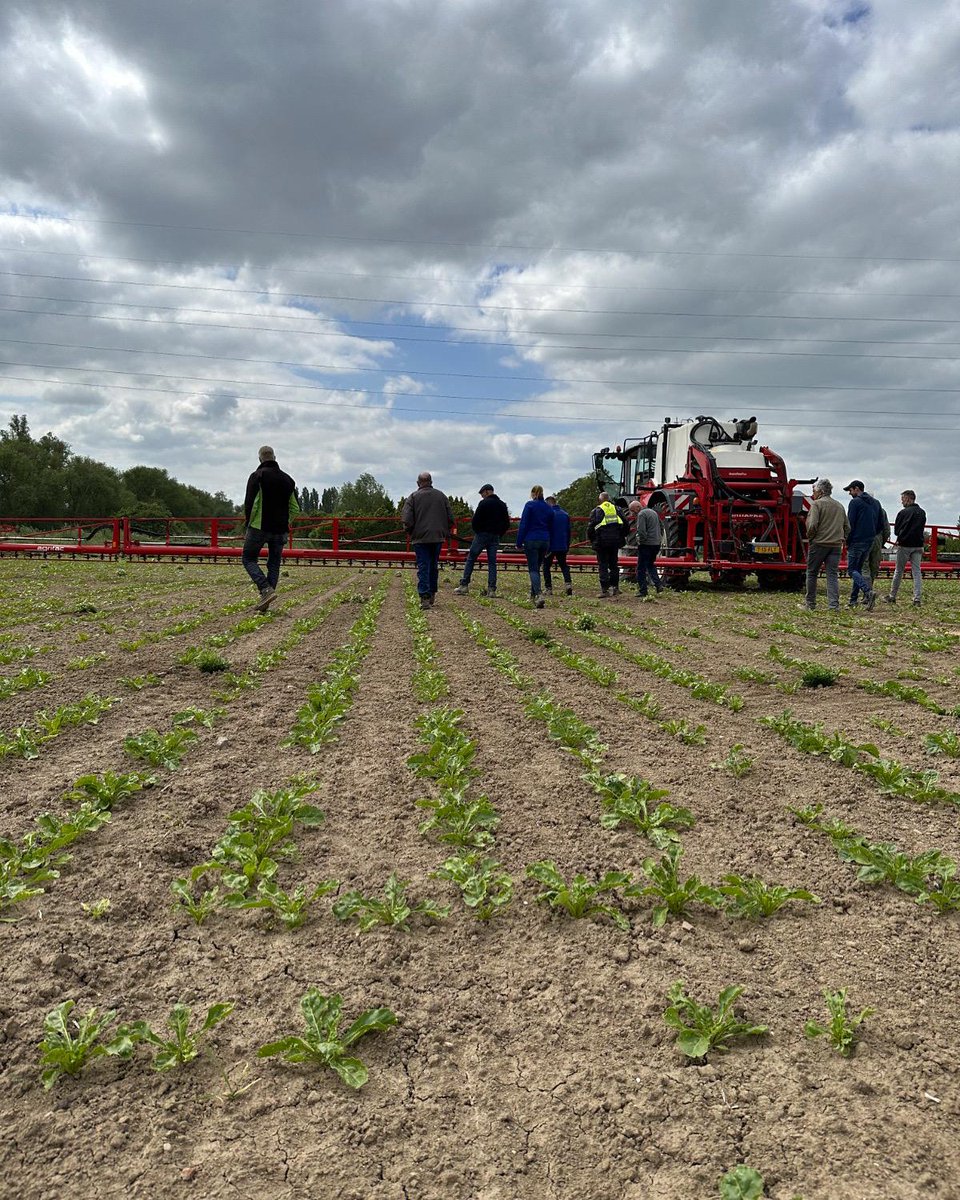 DEMO @ Van der Woerd
Donderdag 22 juni is er een open veld demonstratie bij Loonbedrijf Van der Woerd.

Een demo over verschillende vormen van mechanische onkruidbestrijding en duurzame technologische oplossingen om emissiearme middelen toe te passen. 

Meer info volgt!