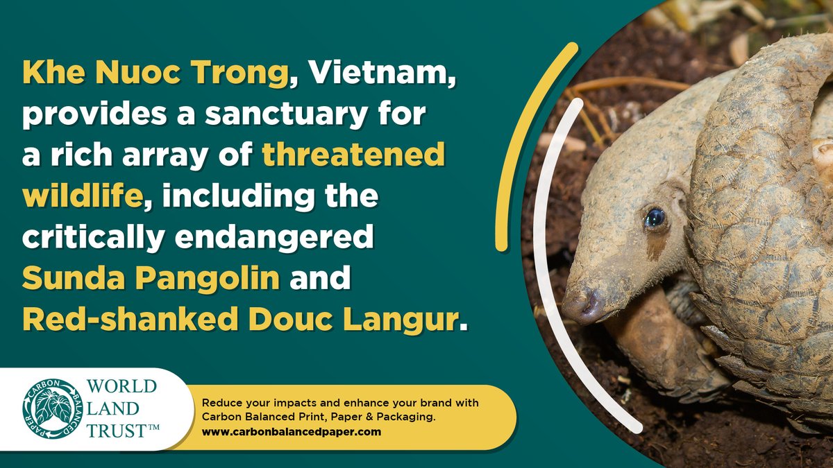 CarbonBalanced's tweet image. Khe Nuoc Trong is a fully compliant REDD+ project, aligned with a wealth of UN Sustainable Development Goals (SDGs). #CarbonBalanced #Print and #Paper – carbonbalancedpaper.com