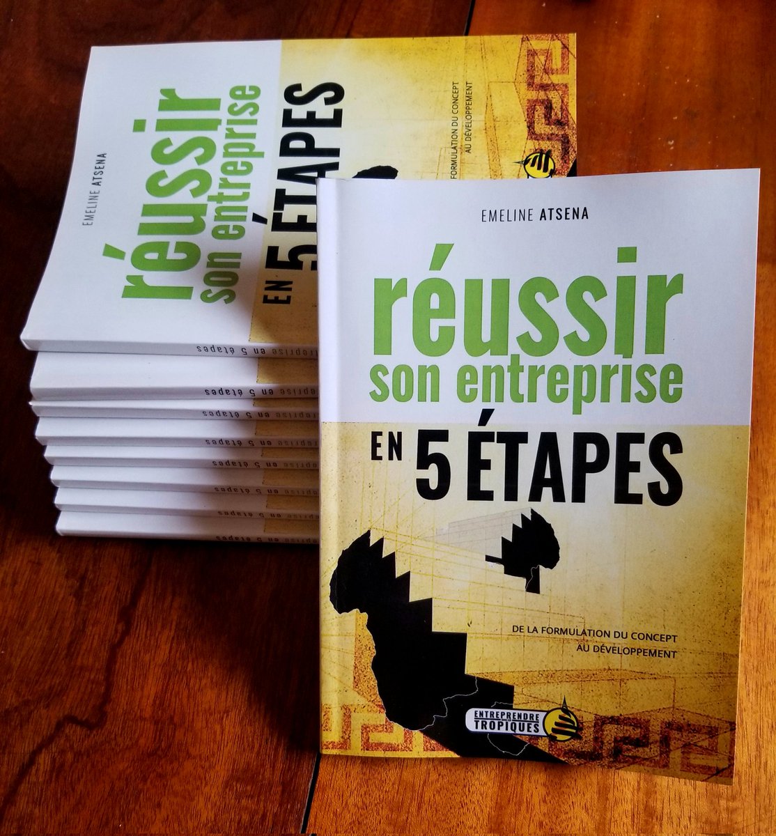 pier_mlyn's tweet photo. Bonjour ! 🌞

As-tu déjà commandé ton livre qui te montre comment #développer ton entreprise et te permet de l'#auditer en cas de difficulté ? 

Profites de la promotion en cours jusqu'au 30 juin 2023 !! Et économise au minimum 150 000 frs CFA de frais de Conseils. https://t.co/ccgqGYeip2