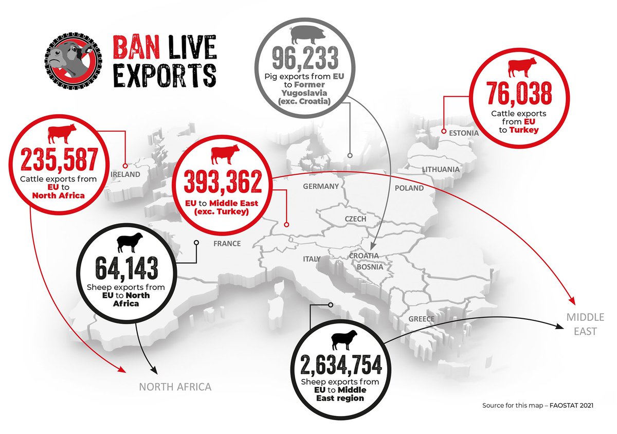 Today, June 14th, is Ban Live Exports International 
Awareness Day
No animal should be forced to suffer gruelling journeys 
over land and sea, just to be fattened and slaughtered 
at the other end. ❌
Join organisations around the world and take action! 
💪 
 
#BanLiveExports