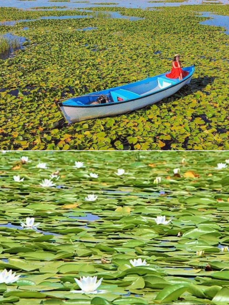 Good morning..🔆🌿💧 Happy wednesday  ☘️💦🌺                                📸 :Işıklı Lake...🇹🇷🚣🍀 Zeki Akakça
#CoffeeTime  #Blessings
 #Blessings #PeaceGood #Peace #StaySafe  
#goodmorning #Καλημέρα
#bonjour #WednesdayGoodmorning #GoodMorningEveryone  
#Buongiorno #BuenosDias