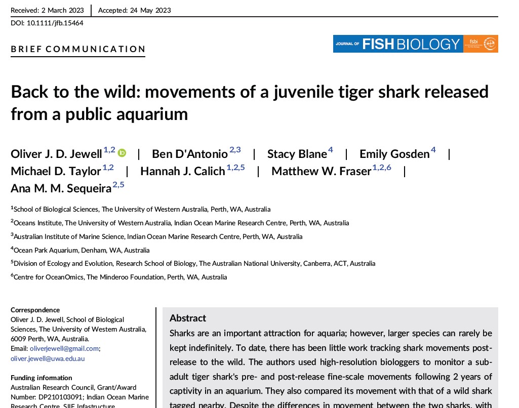 New #shark paper alert! We used a #camtag to track the release of a juvenile tiger shark after 2 years in captivity, plus the paper is #OpenAccess so just click here to read: onlinelibrary.wiley.com/doi/epdf/10.11… 1/3