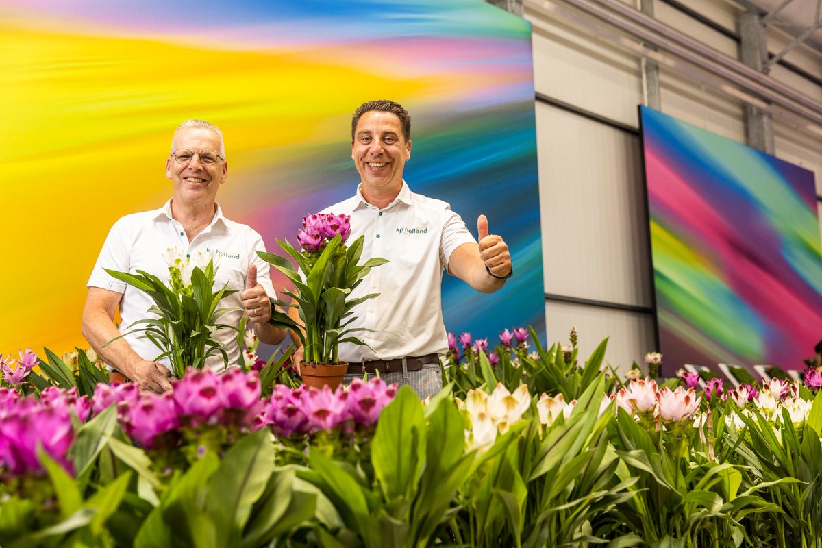#Discover #plant #excellence during the <a href="/flowertrials/">FlowerTrials</a>!Our #breeding #sales team is on hand to explain the unique characteristics of the latest breeding selections of #Rosalina #Kalanchoe, #Spathiphyllum #Cupido and #Siam #Curcuma.

📍Kasteelweg 16, 2671MM Naaldwijk