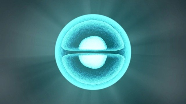 LeadingBiology's tweet photo. #LeadingBiology provides #stablecellline development services using effective #lentivirus. Our proprietary #CHOK1 expression platform enables HTP screening of cell clones to support large scale prodution for Abs and proteins #CRO #https://www.leadingbiology.com/article-804.html https://t.co/MVuxV7FIc9